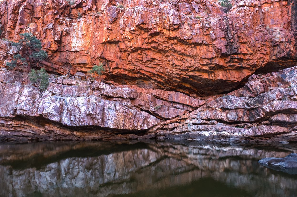 shutterstock 517381633 1