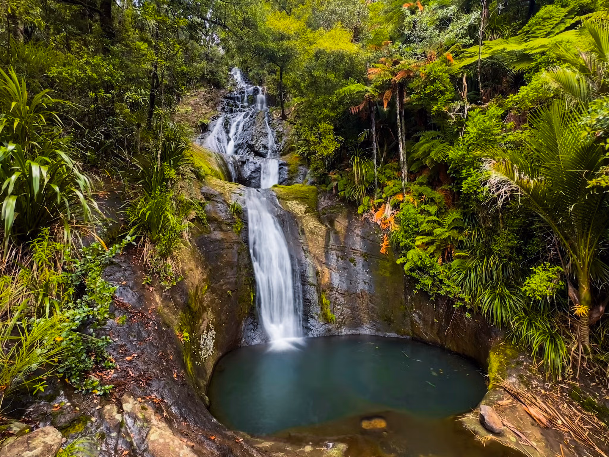 waterfall surrounded by native nz bush leading to a natural pool