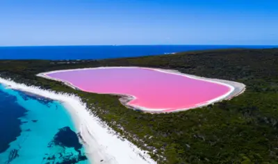 Ocean on the left with reefs, and dark green bush on the coast. In the middle lies a bright pink lake.