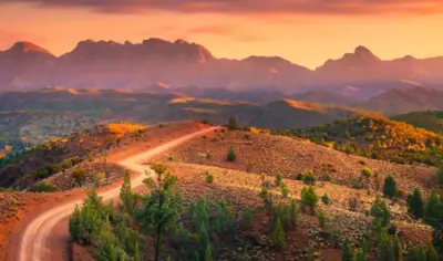 orange sunset behind mountains with red desert and trees in the foreground