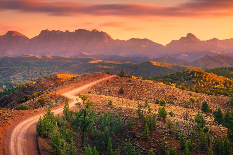 orange sunset behind mountains with red desert and trees in the foreground