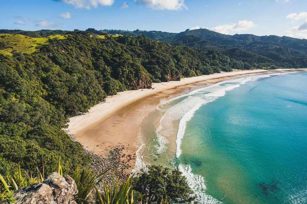 beach with green forrest behind the yellow sand and blue water on the shoreline