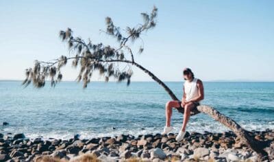 69f96c757a818_2952_noosa-palm-tree-welcome-to-travel-2
