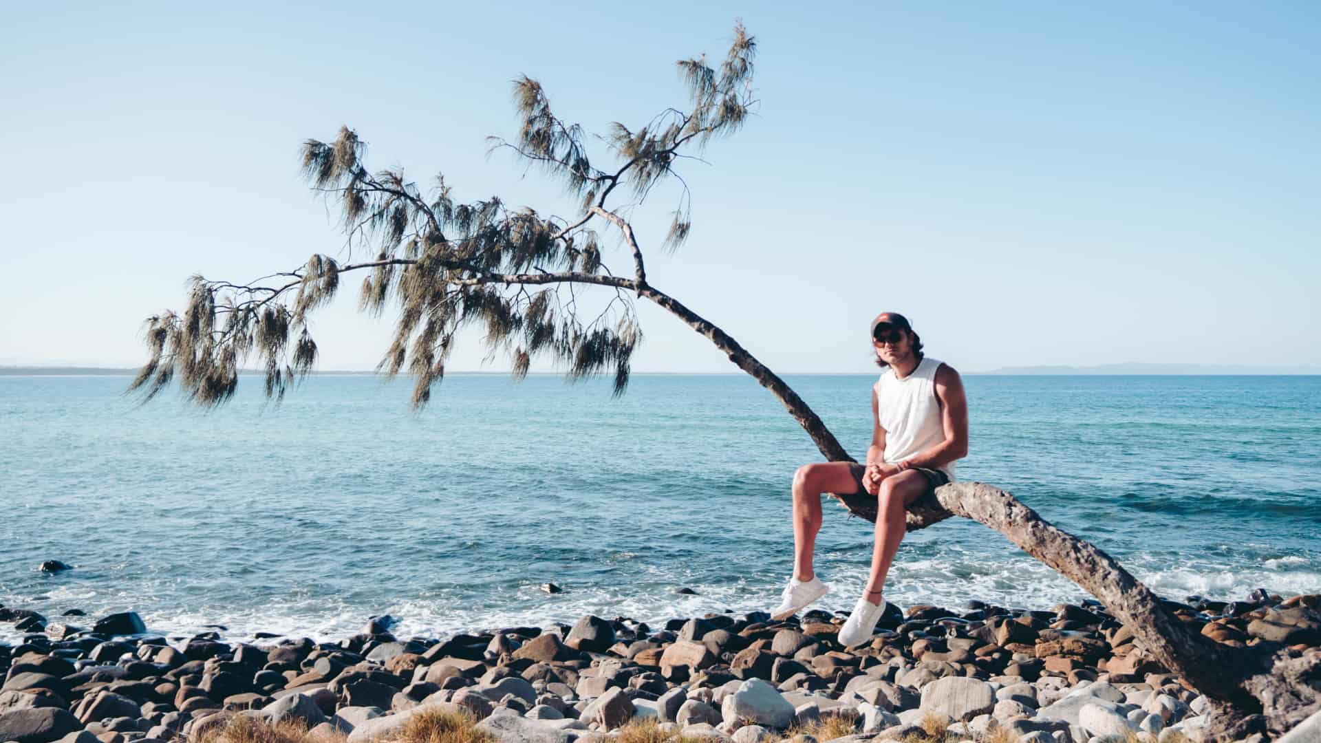 69f96c757a818_2952_noosa-palm-tree-welcome-to-travel-2