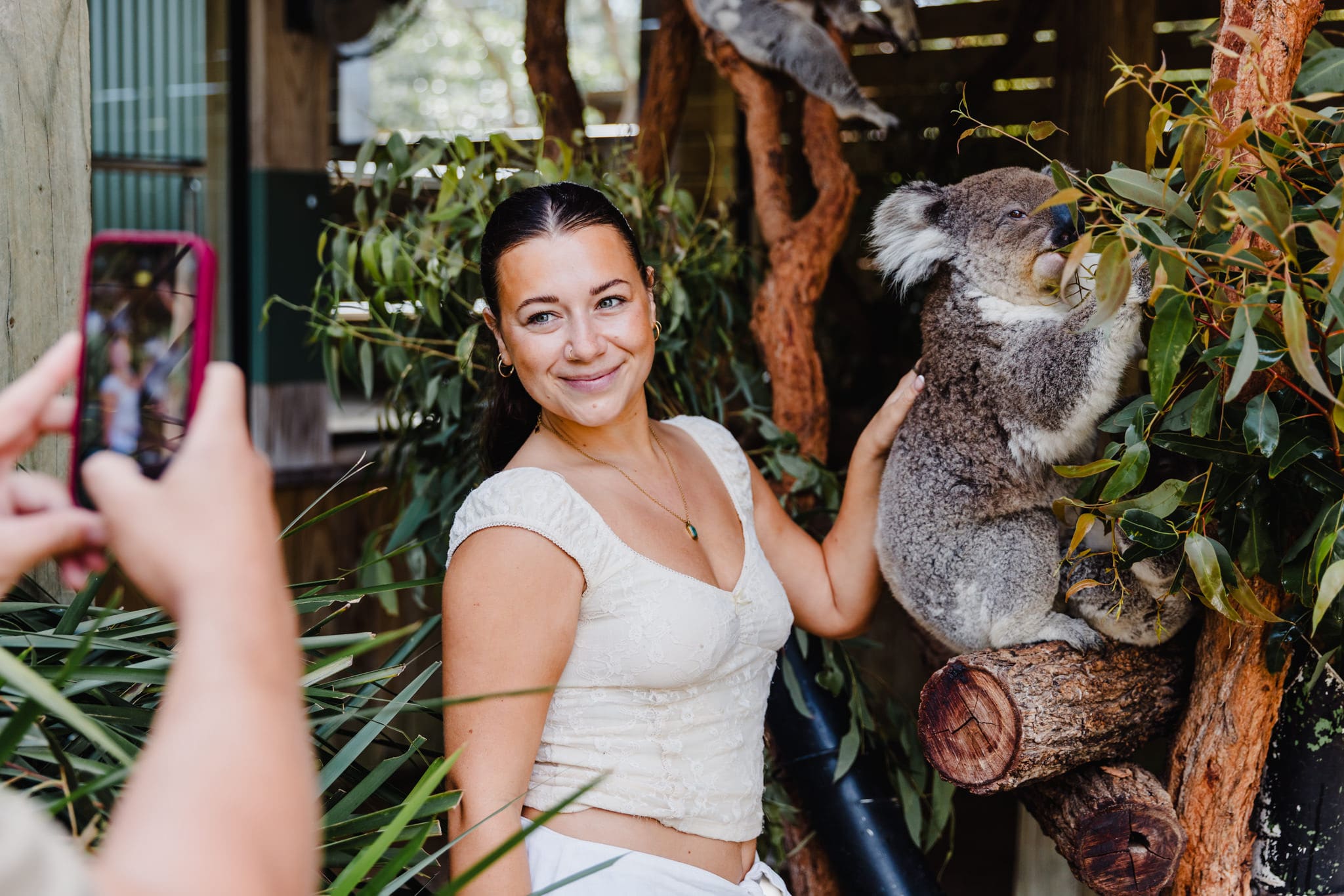 690bddc70968f_803_copy-of-cct-jervis-bay-previews-19-10-25-social-media-size-5