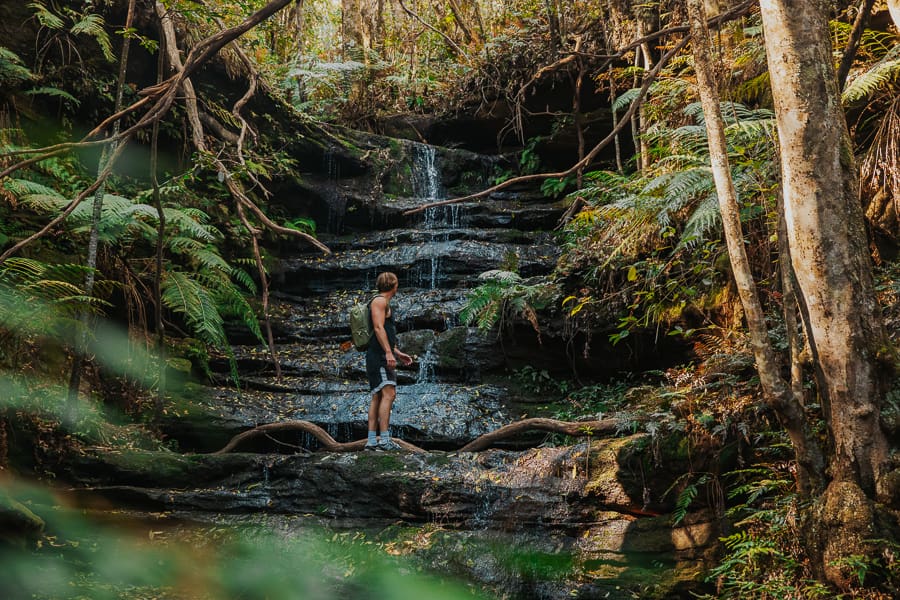 man admiring waterfall in blue mountains near sydney
